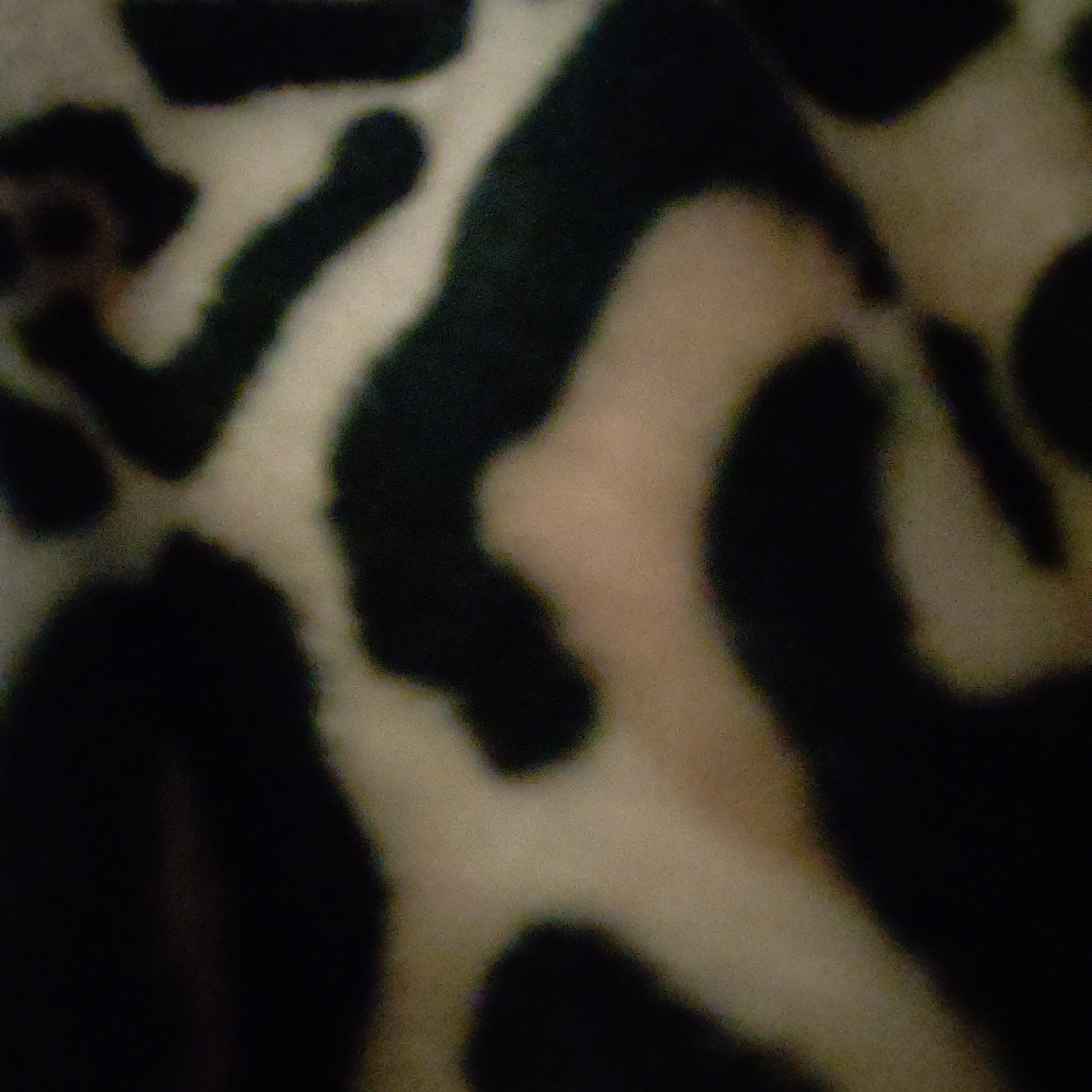 Missjuicybpawg24 banner image