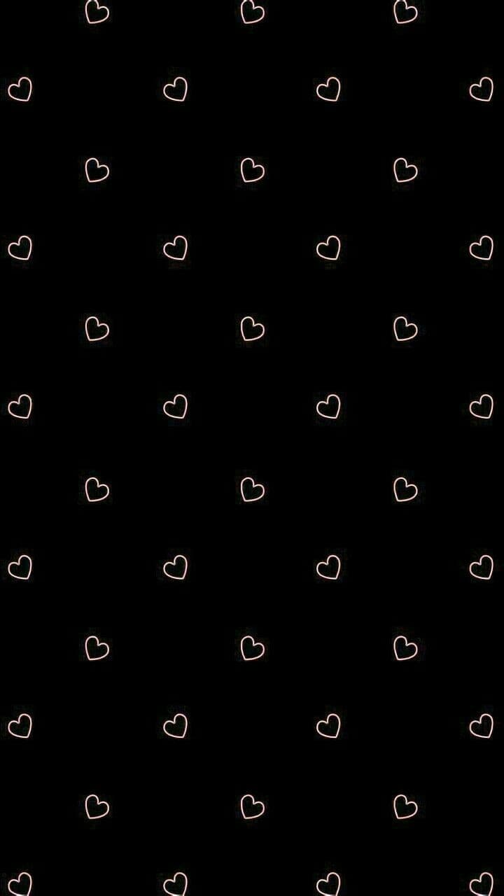 Mirly Kitten banner image