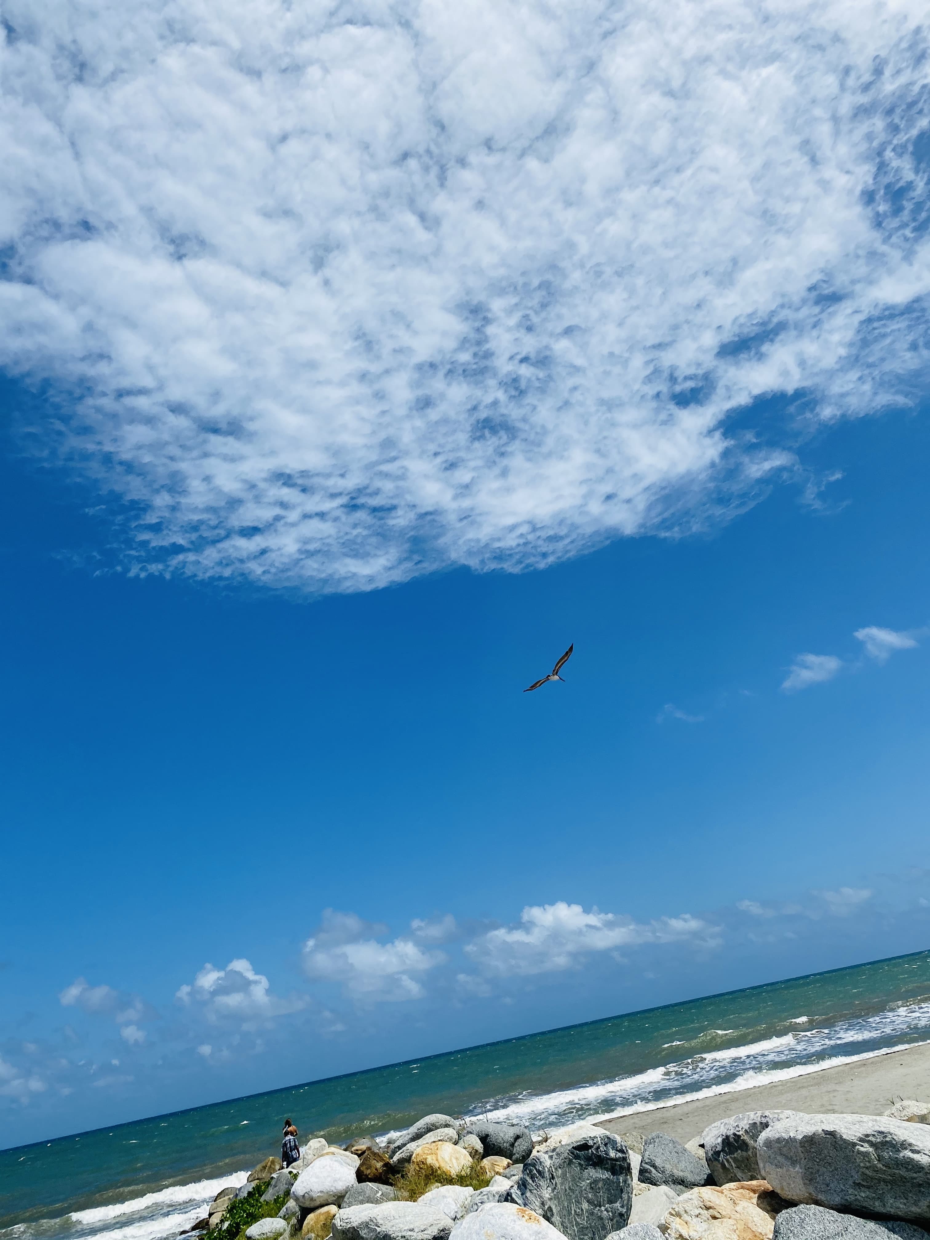 Maynor banner image