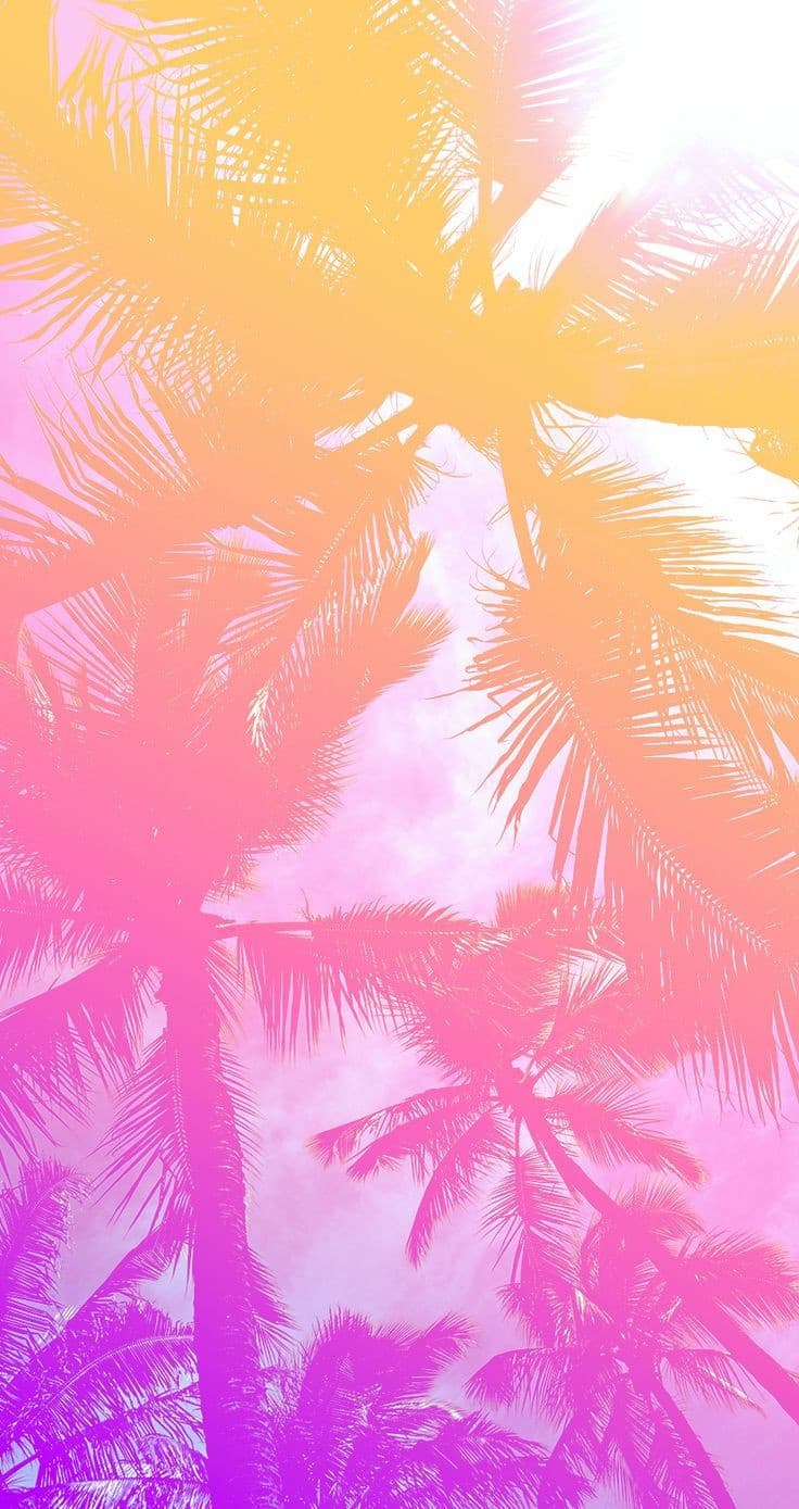 californiachick banner image