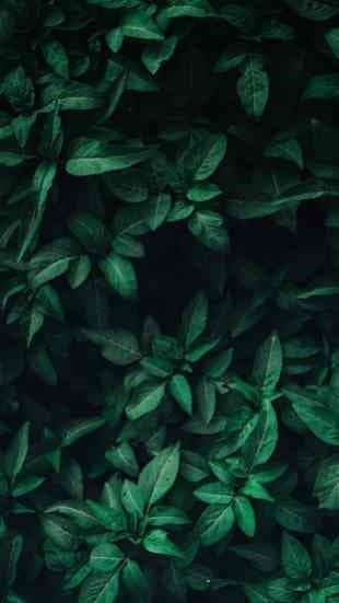 Jer banner image