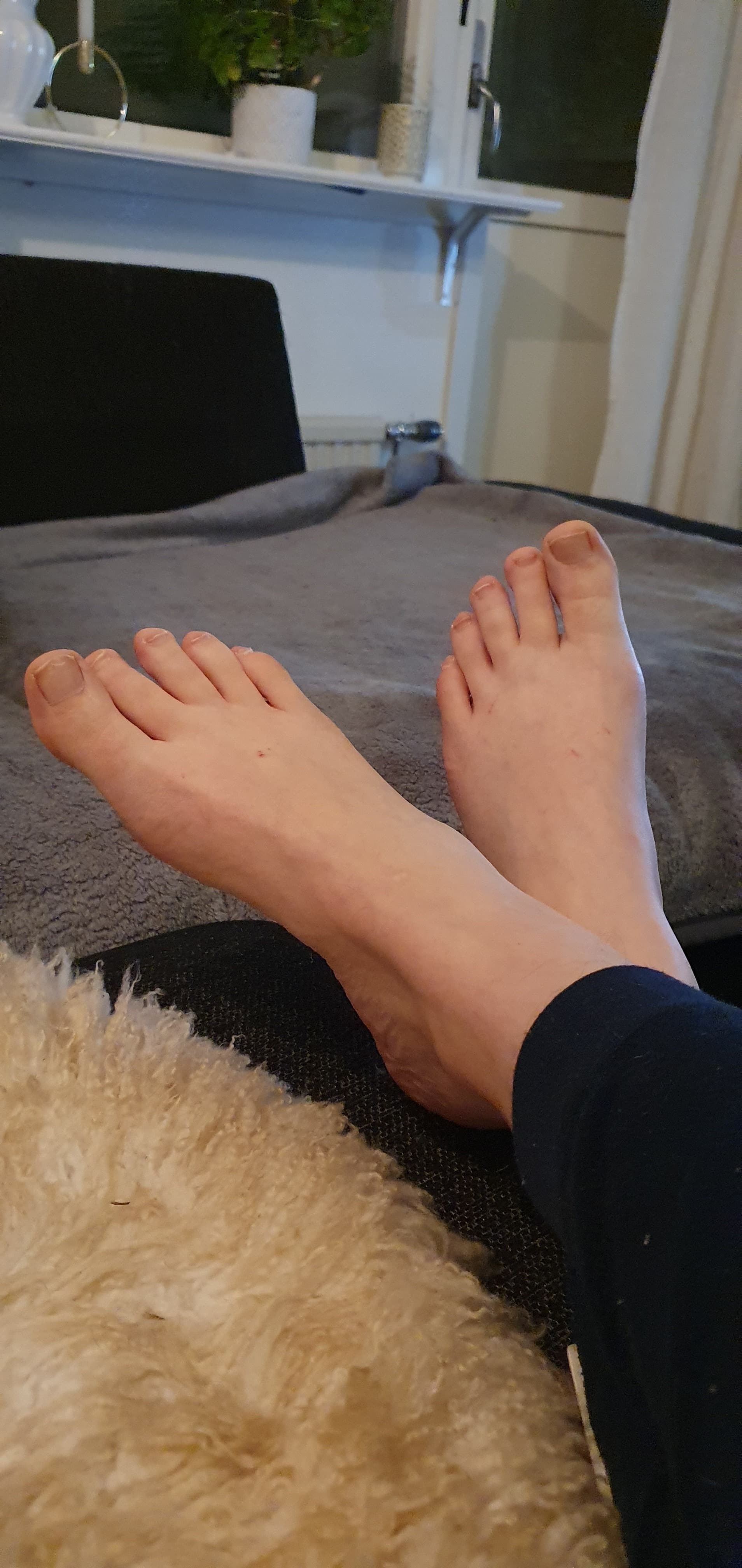 Pixie Feet banner image