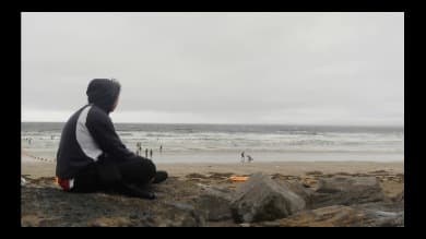 MrTease banner image