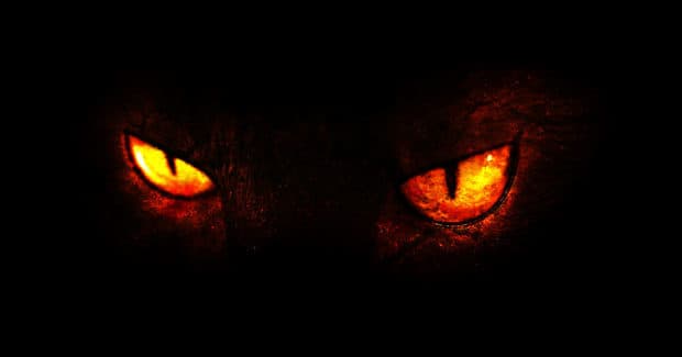 MrTDaze banner image