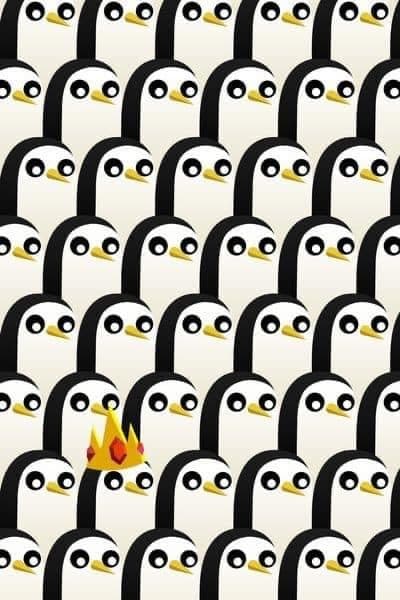Patty banner image