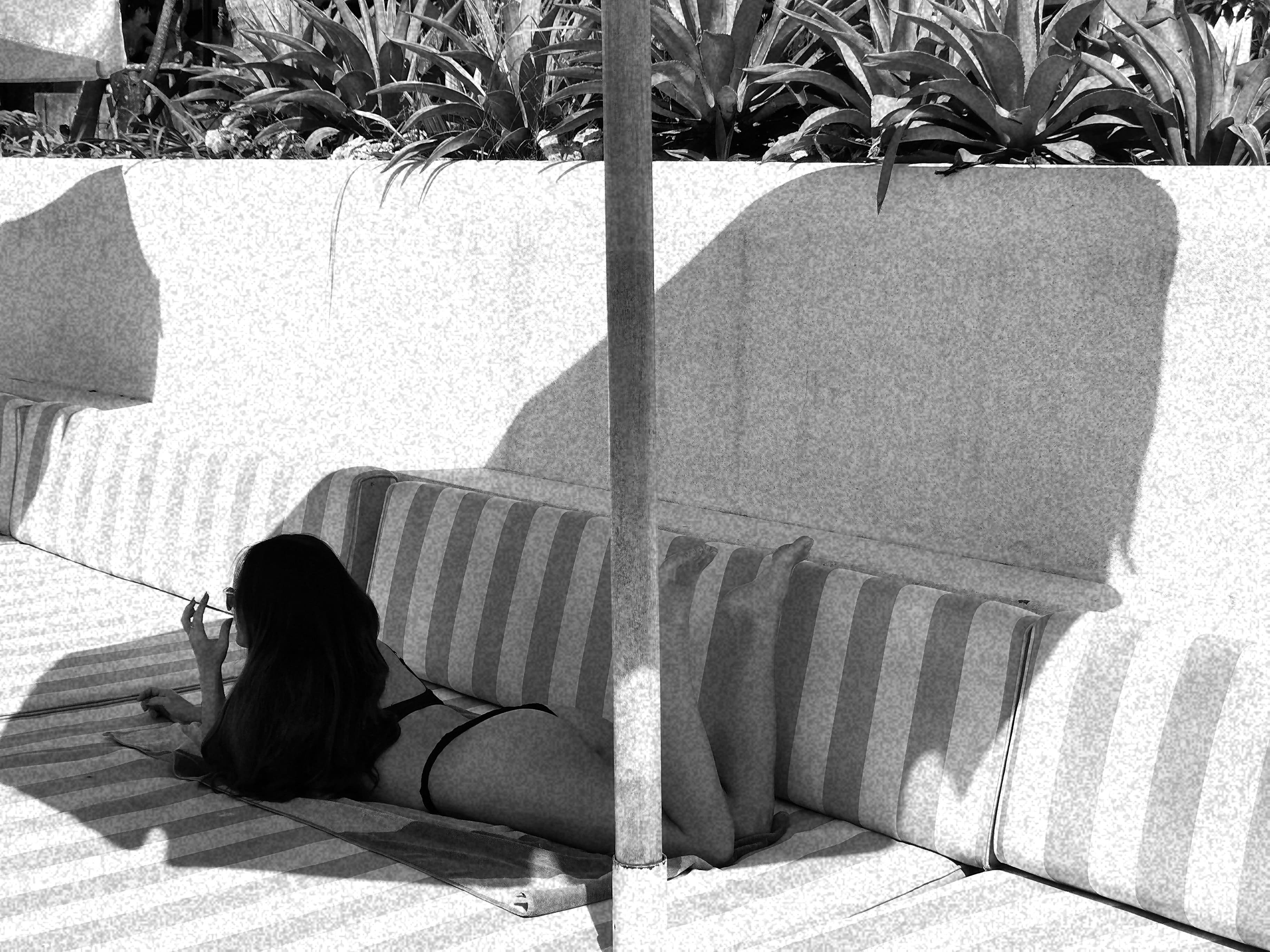 Bella banner image
