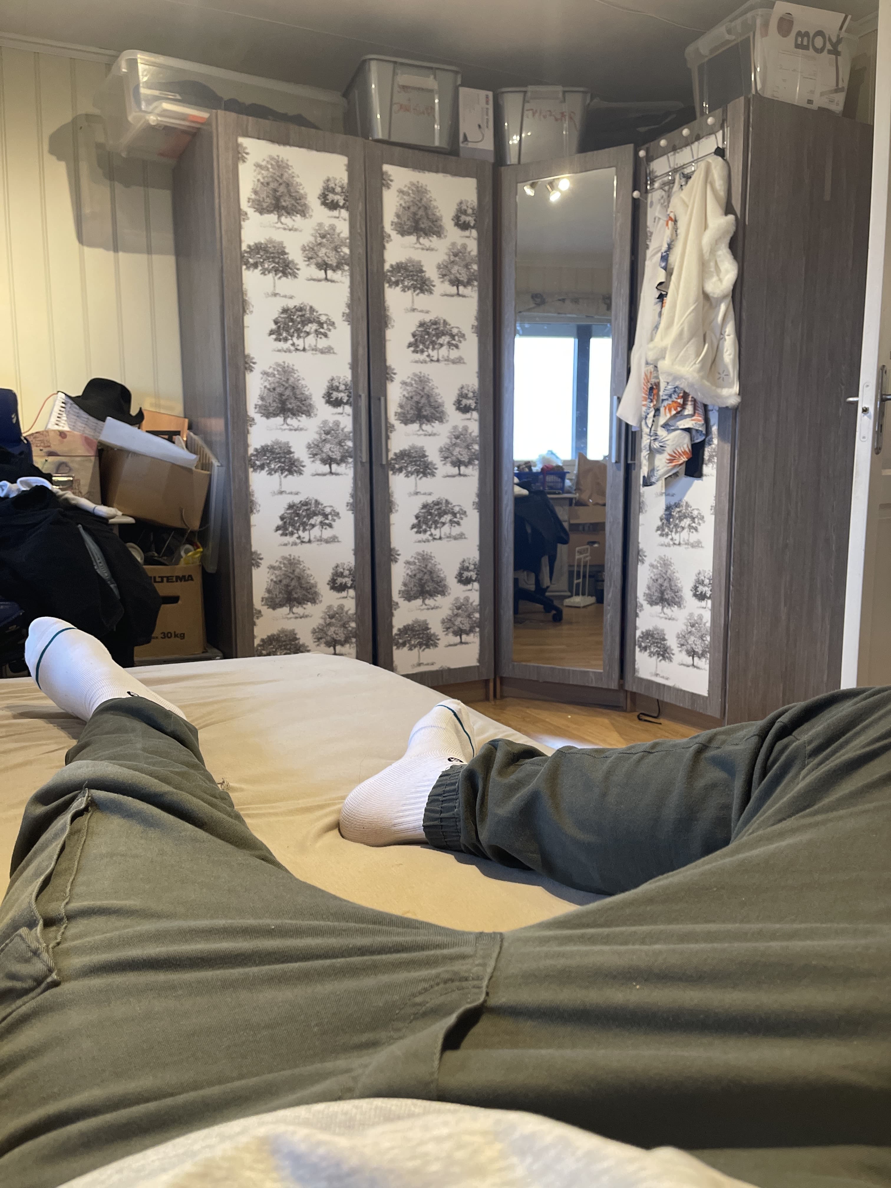 Dan Trop banner image