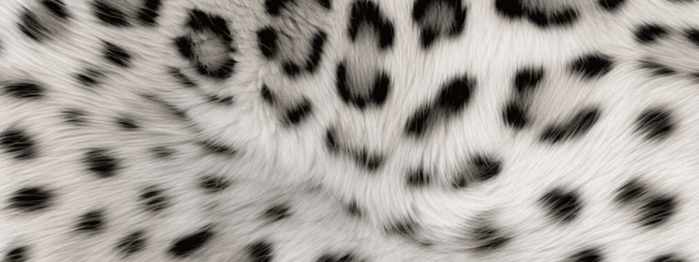 Ivry banner image