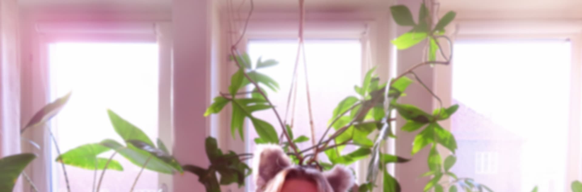 Qtee Foxx Free banner image