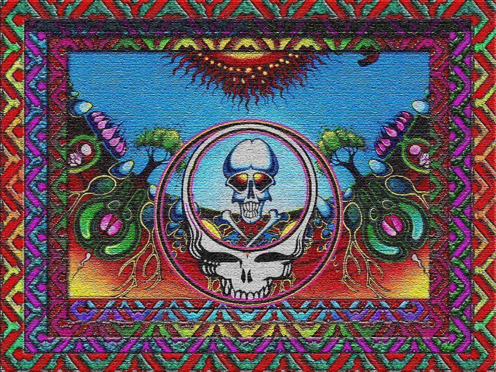 kiddclapps banner image