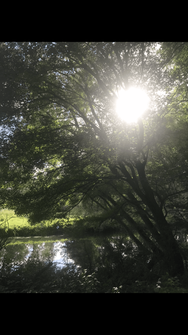 Justdoingme banner image