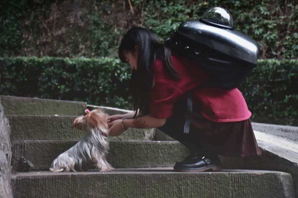 edith li banner image