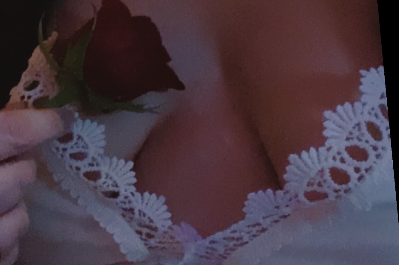 Cannafux banner image