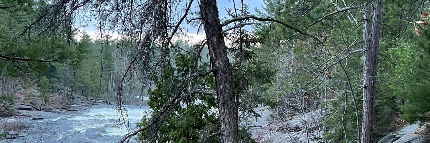evan rhoades banner image
