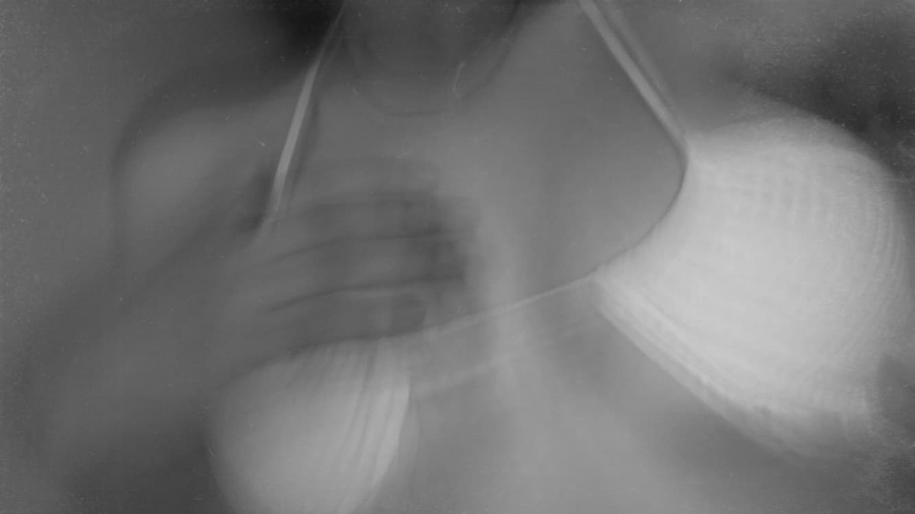 Little María banner image