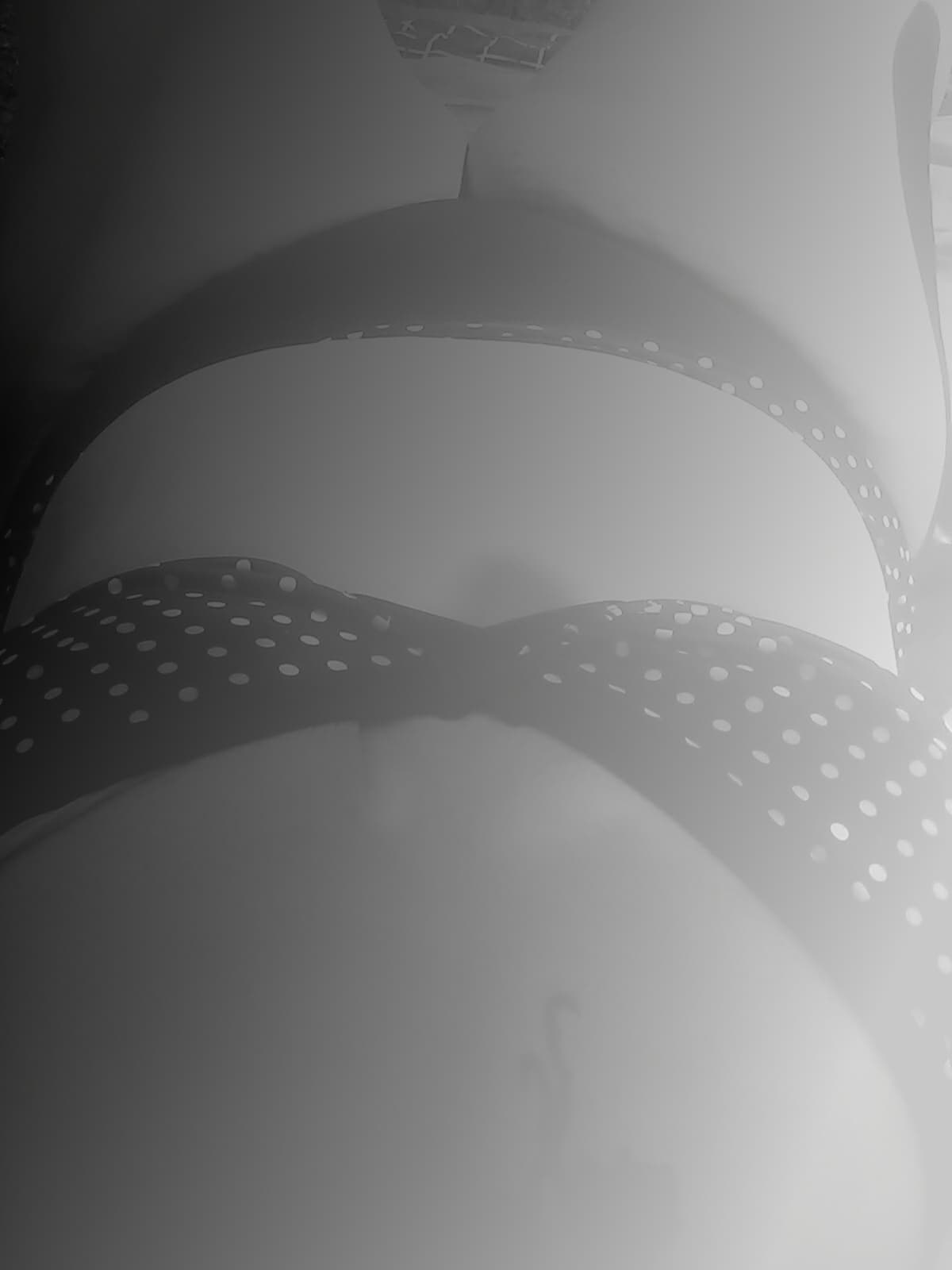 Lady Morticia banner image