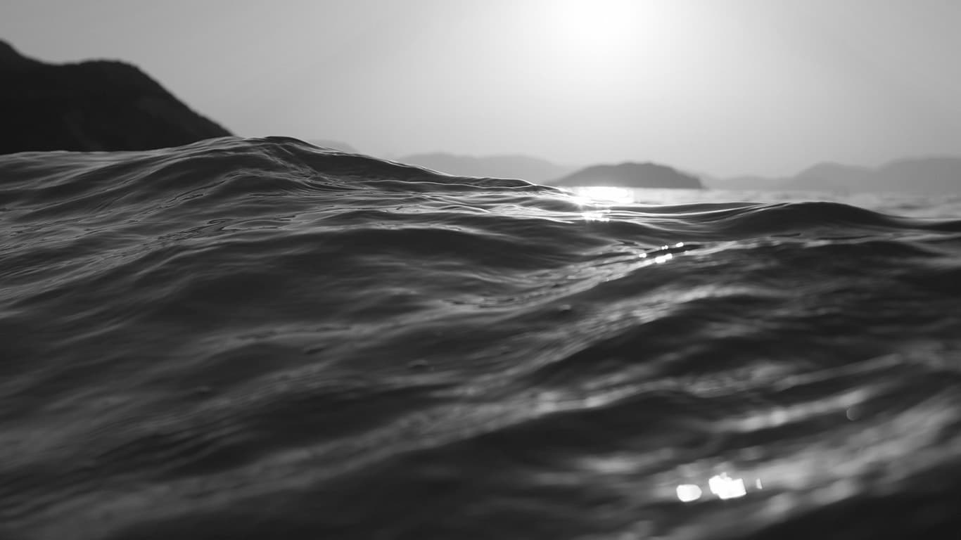 LP banner image