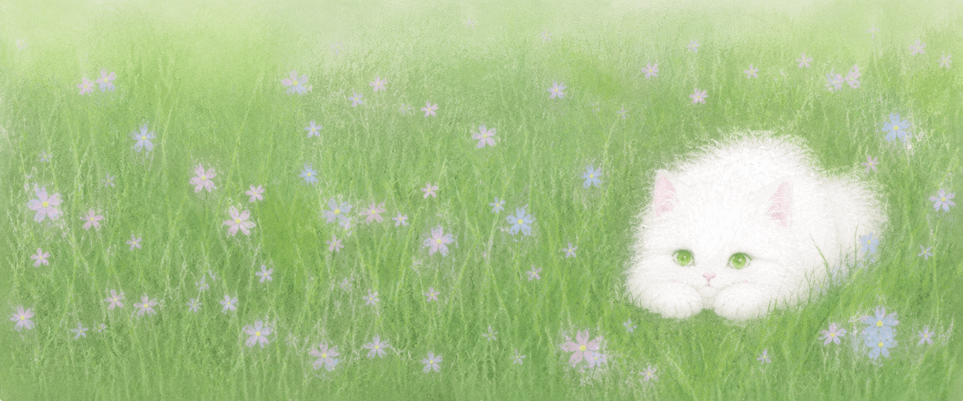 TinyLouLou banner image