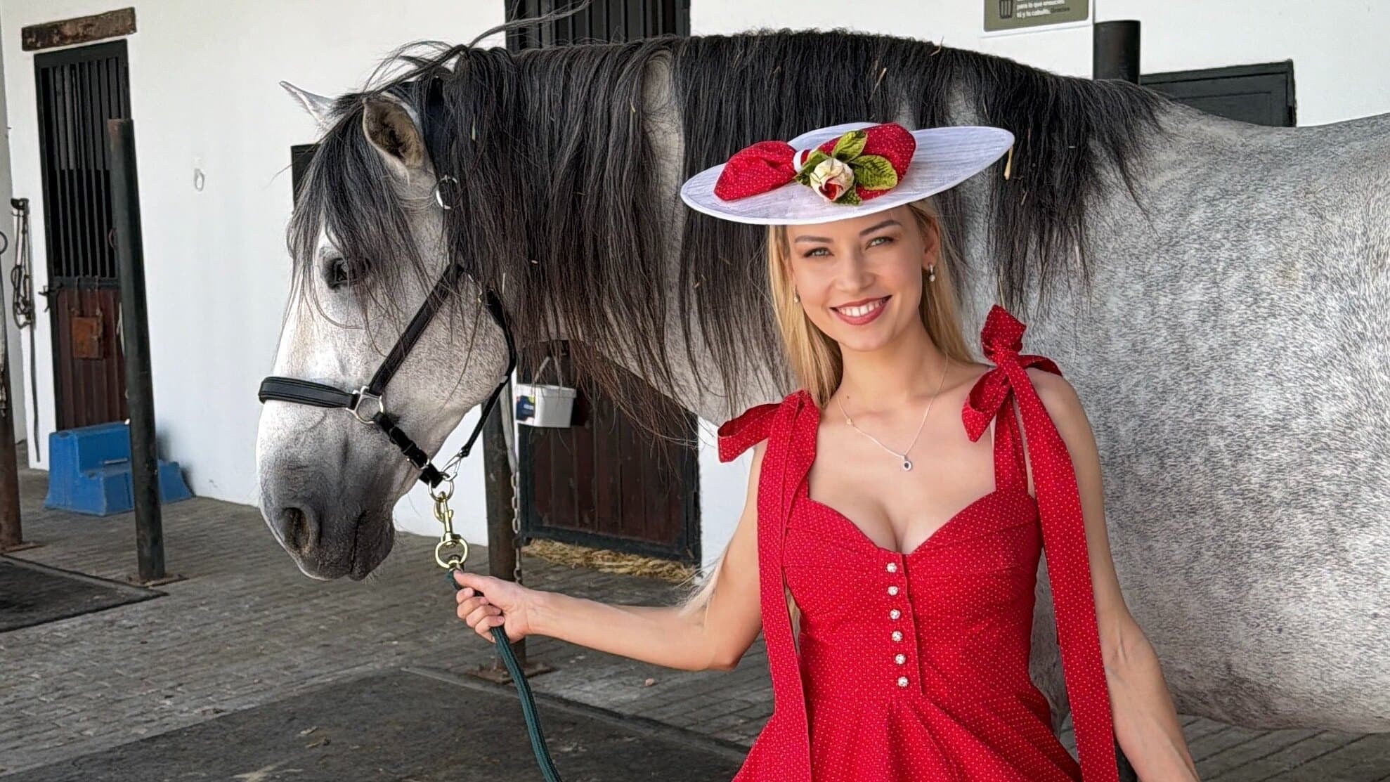 Dasha Voro banner image