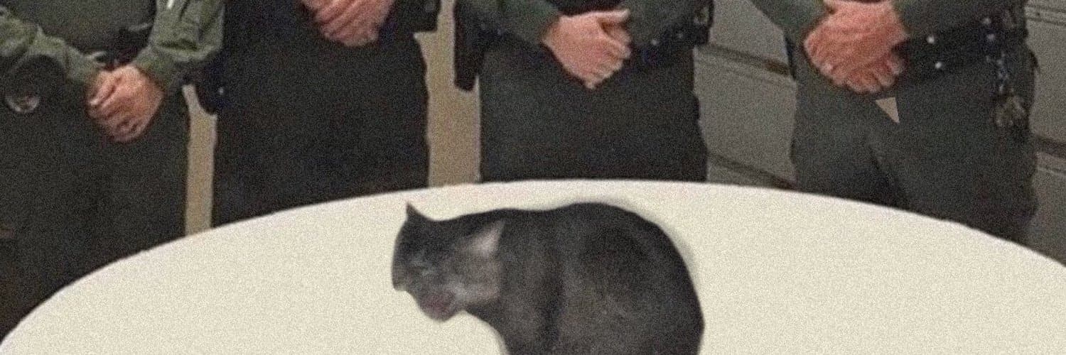 * banner image