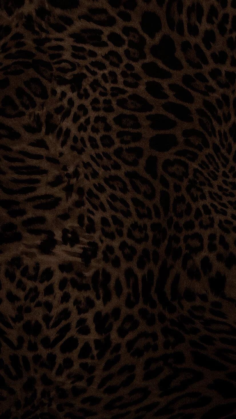 Breezzy banner image