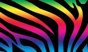 PuertoRicanBree banner image