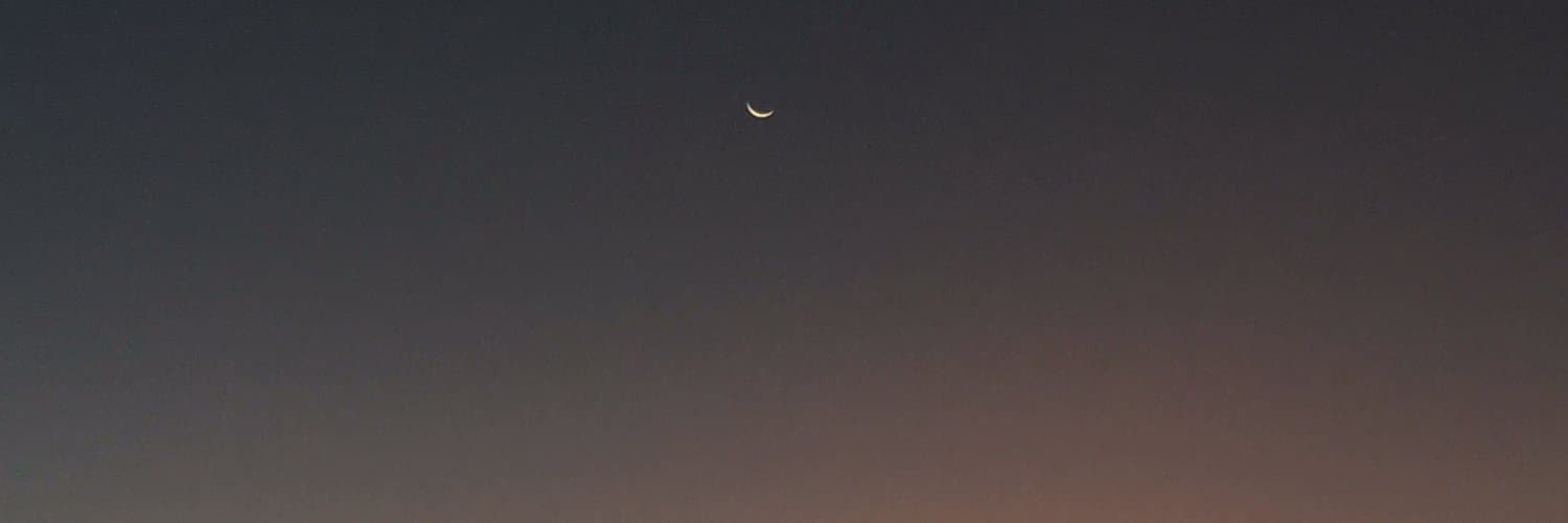 Mariela banner image