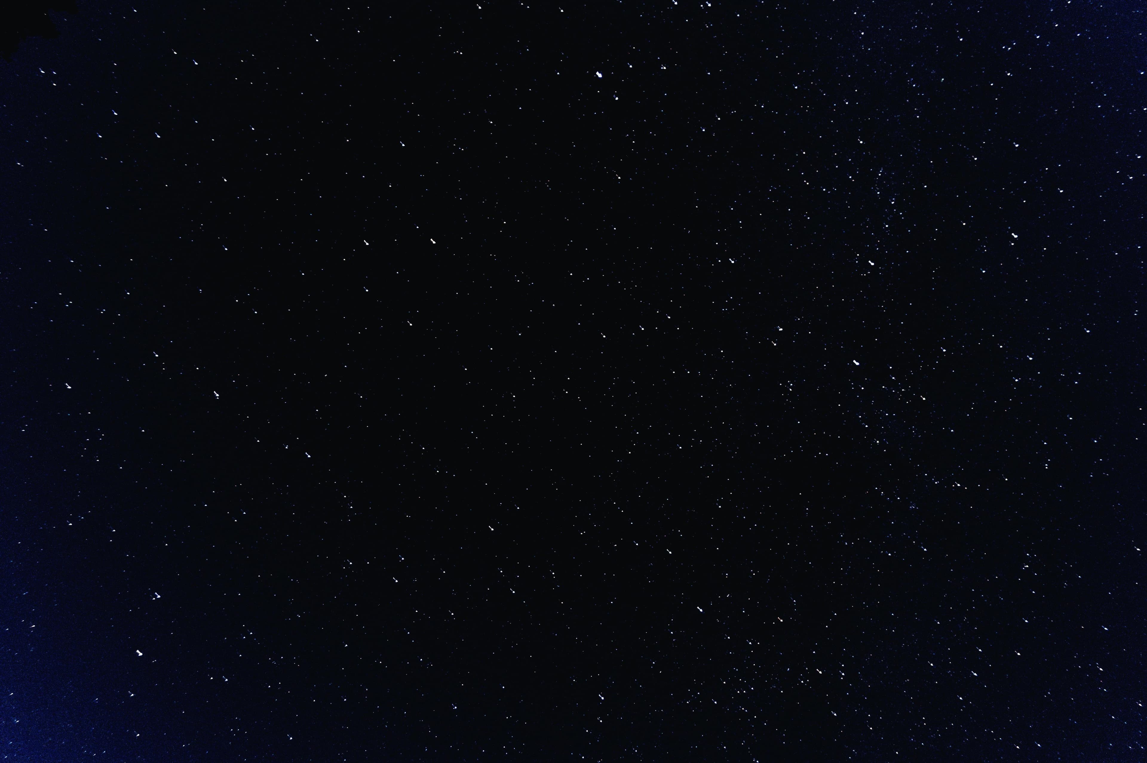 simonas misutis banner image