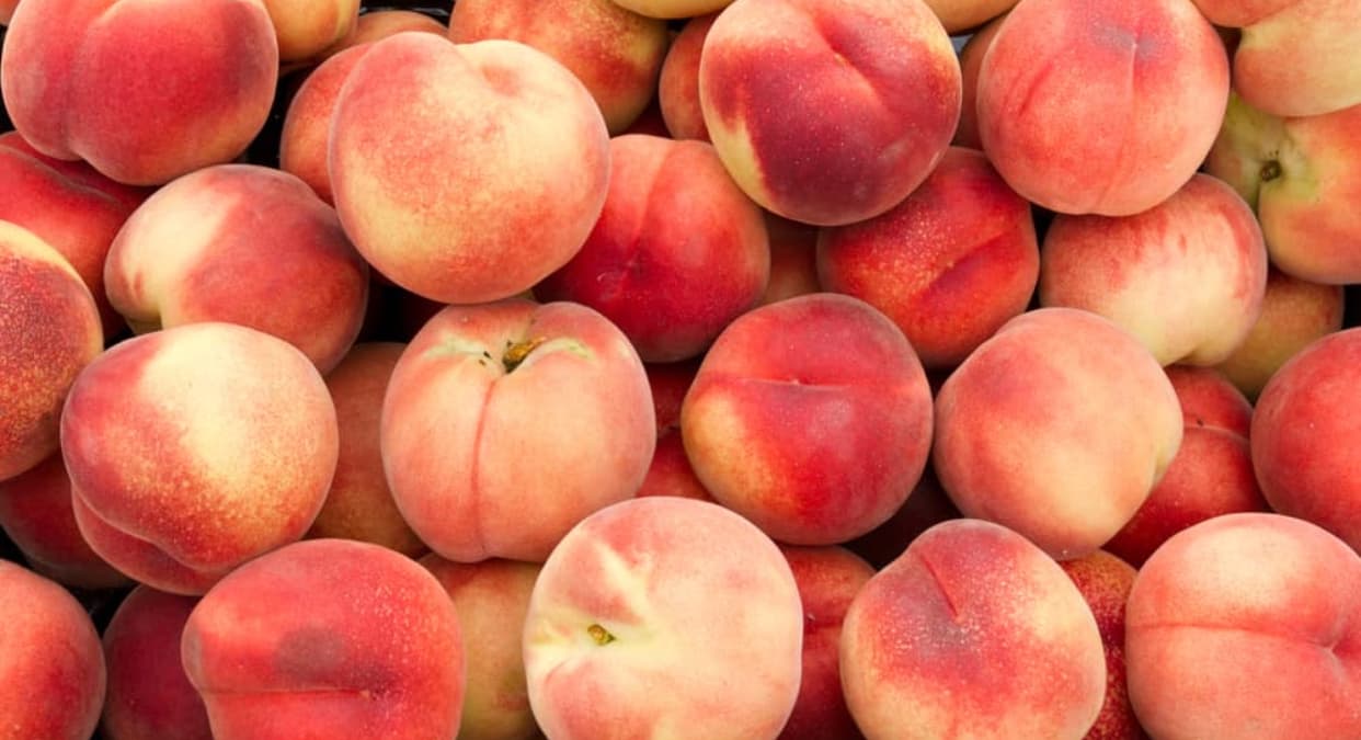 Griselda Peach🍑👅 banner image