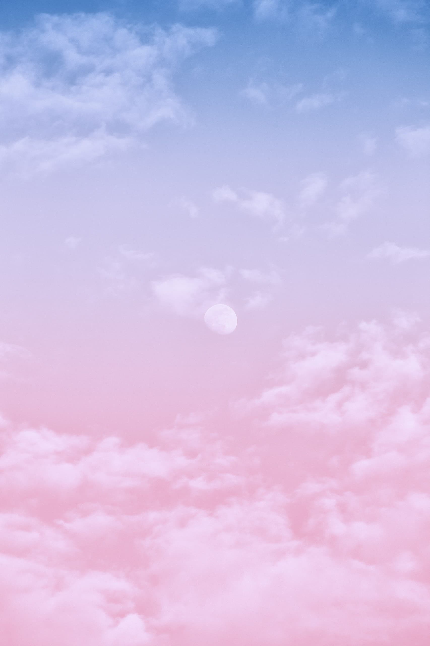 l i a g i b a 🪷 banner image