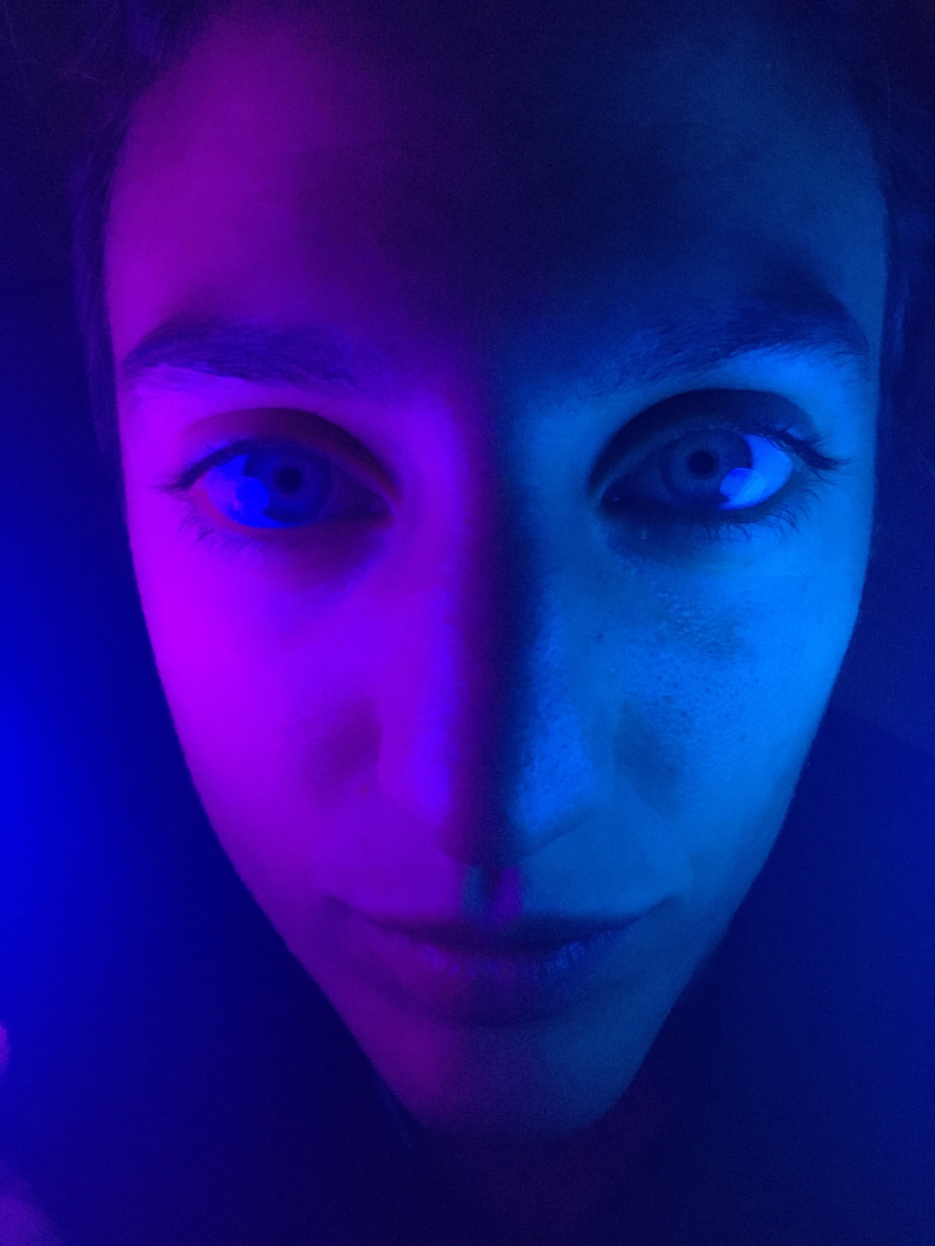 Camil banner image