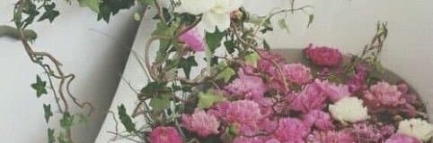 Maddie LaRose banner image