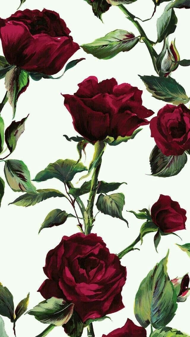R0gu3Glitt3r banner image