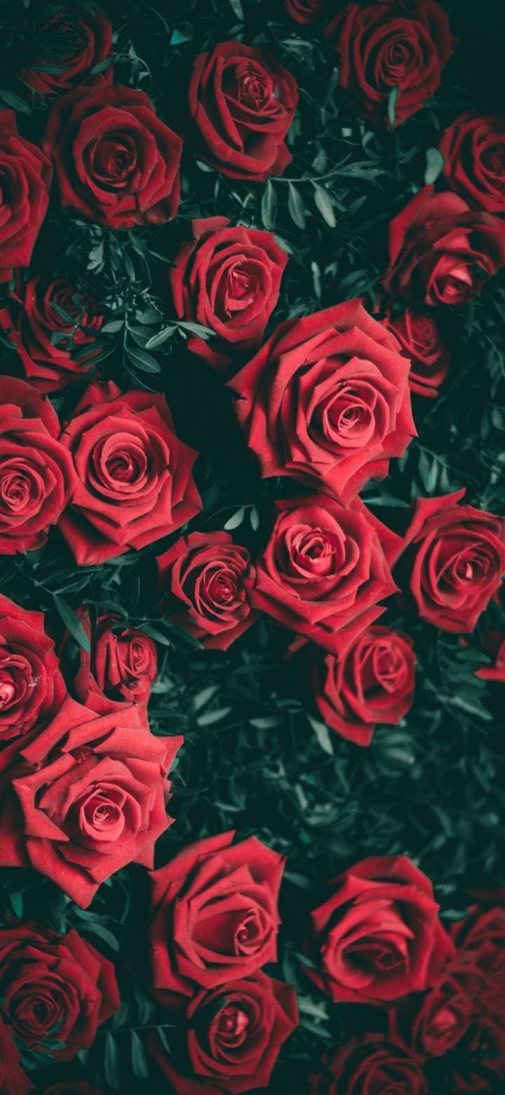 R banner image