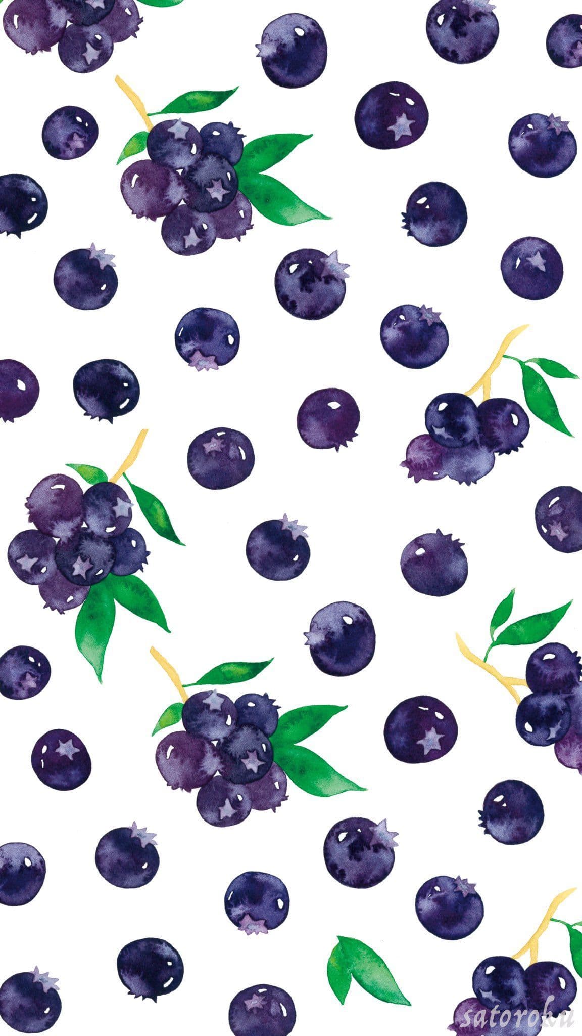 Lil Blueberry banner image