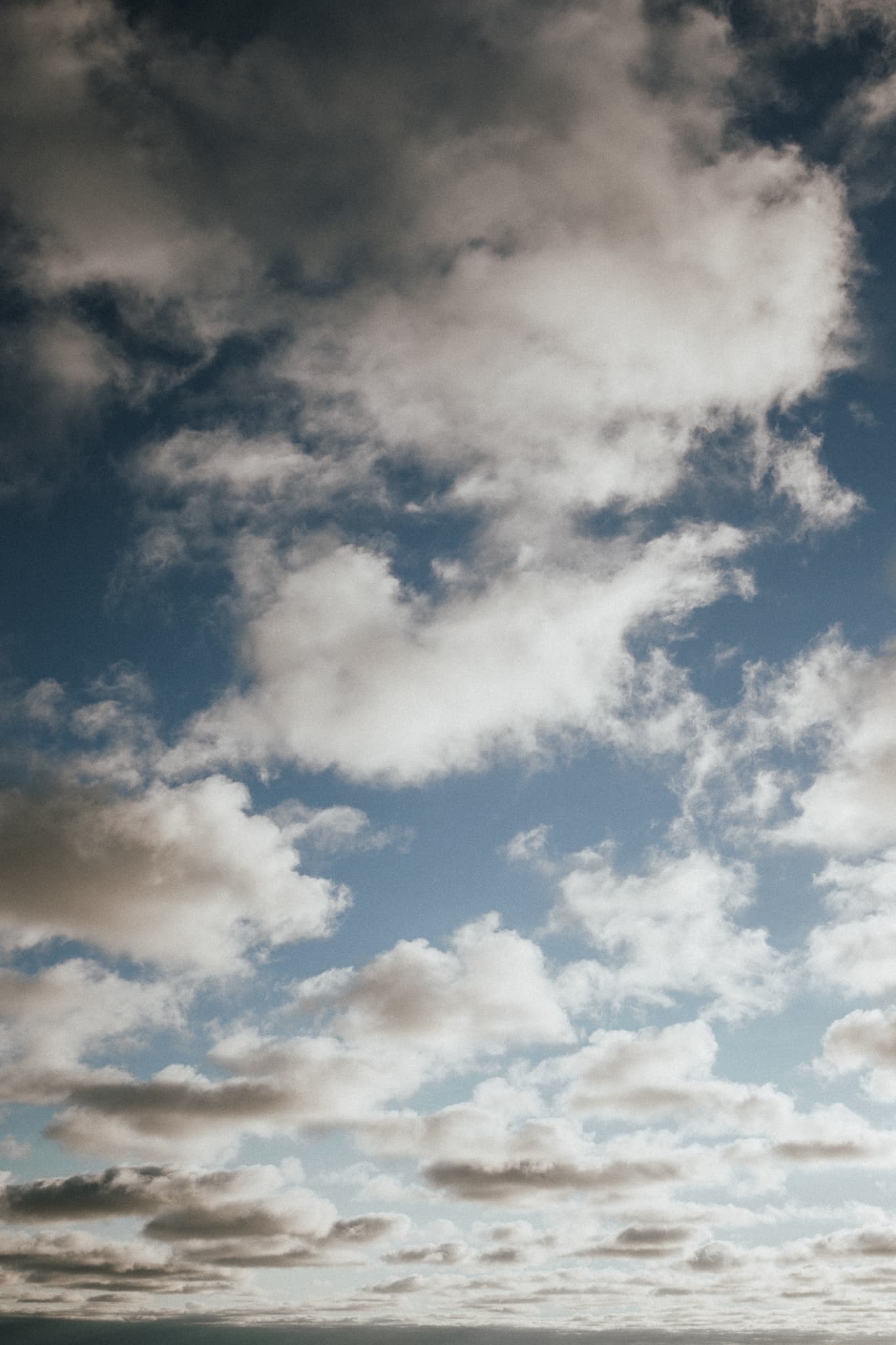 bare-yogi banner image