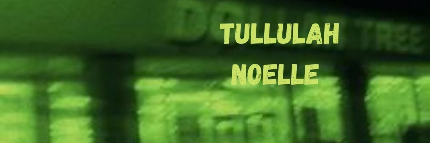 Tullulah Noelle banner image