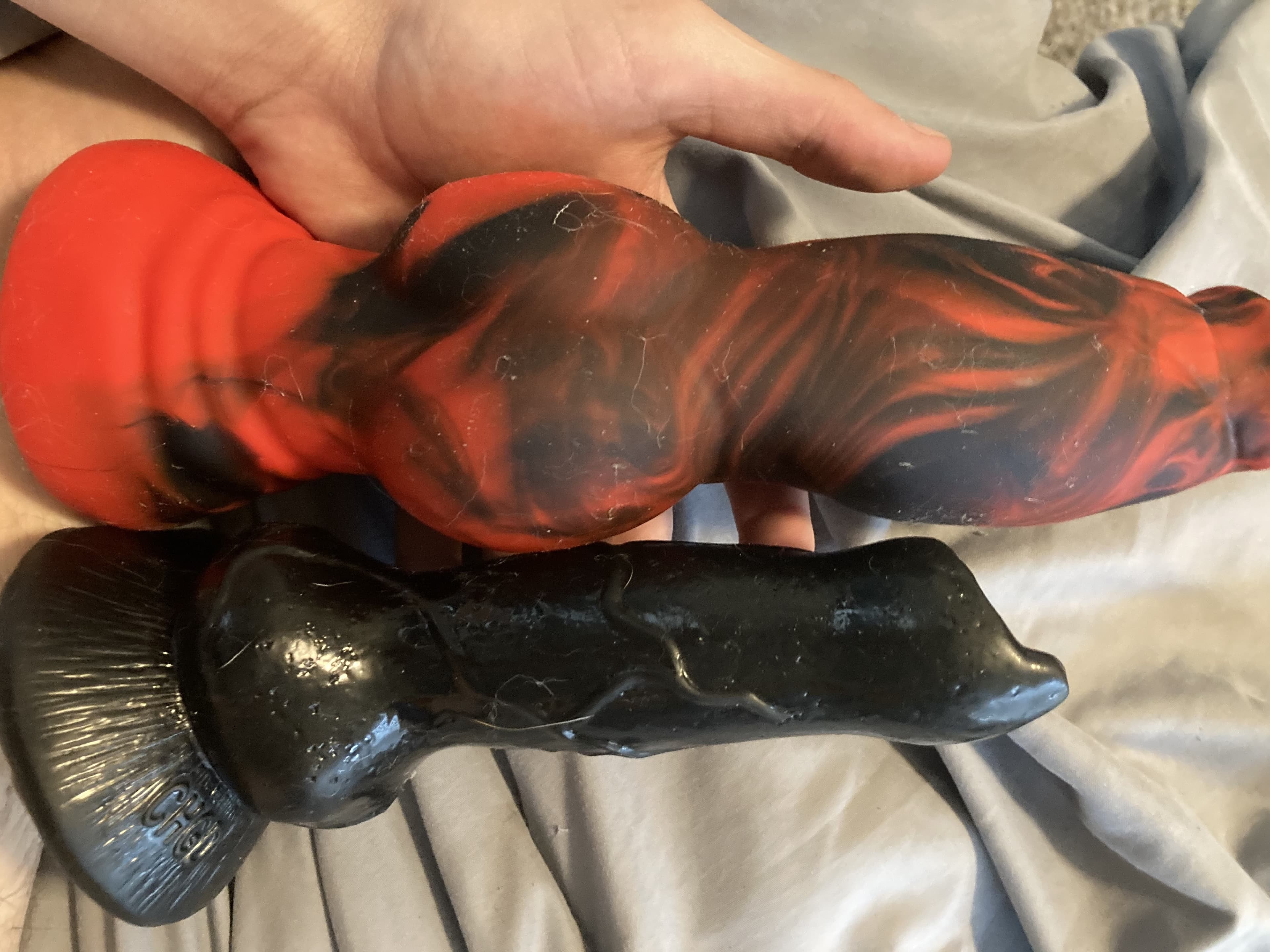 Pup Trevor banner image