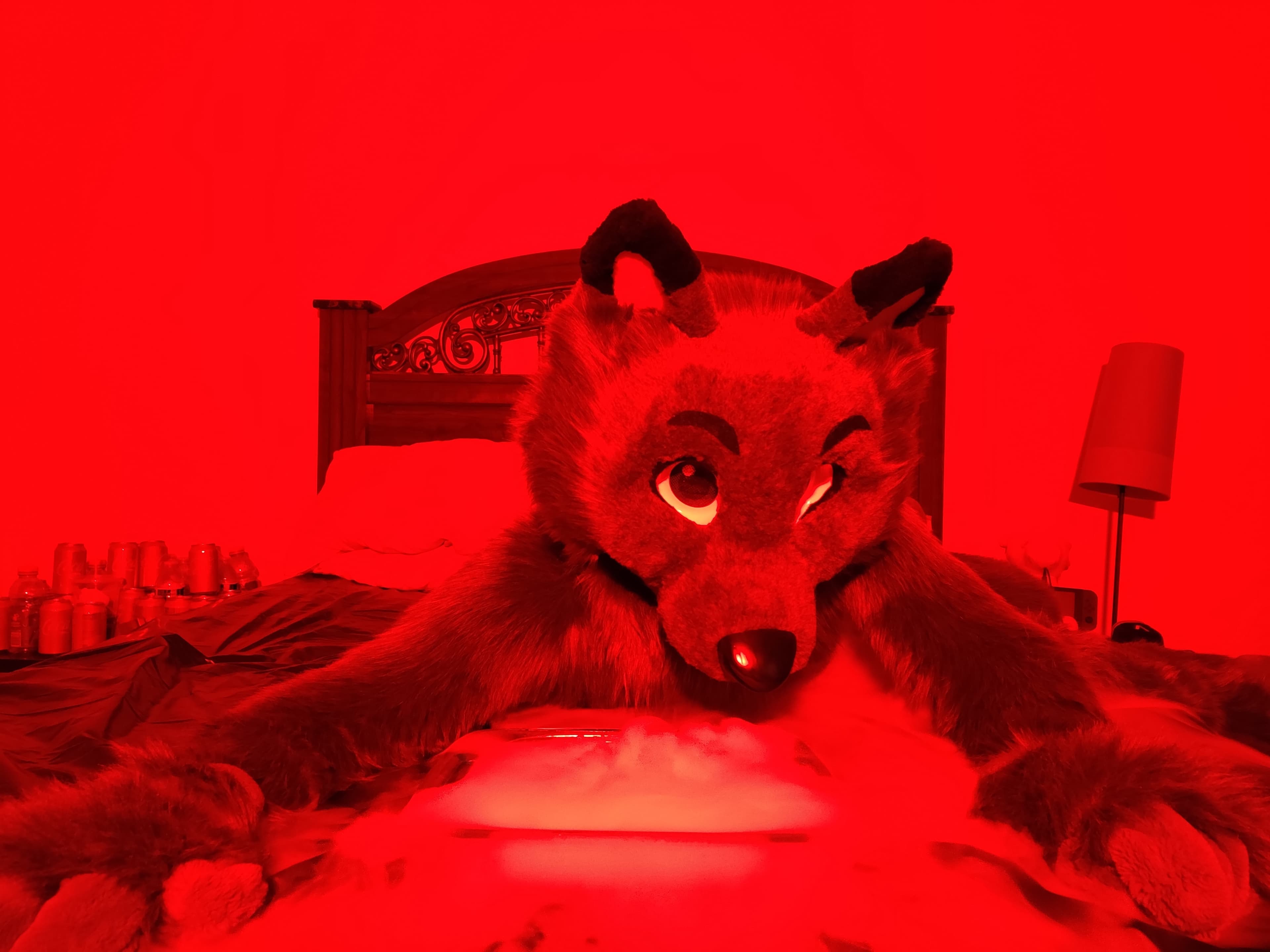 DarnWolf banner image