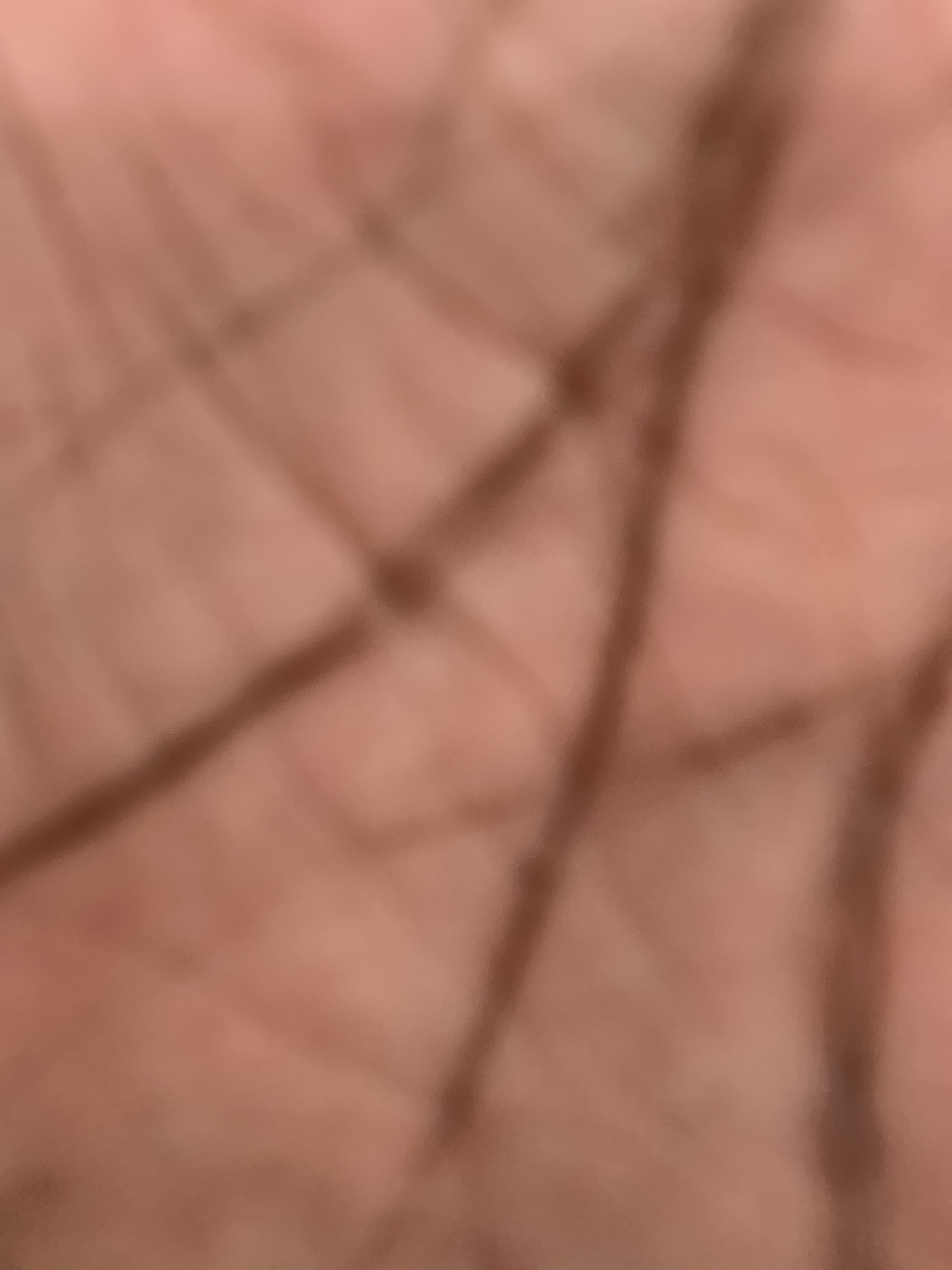 Carlos banner image