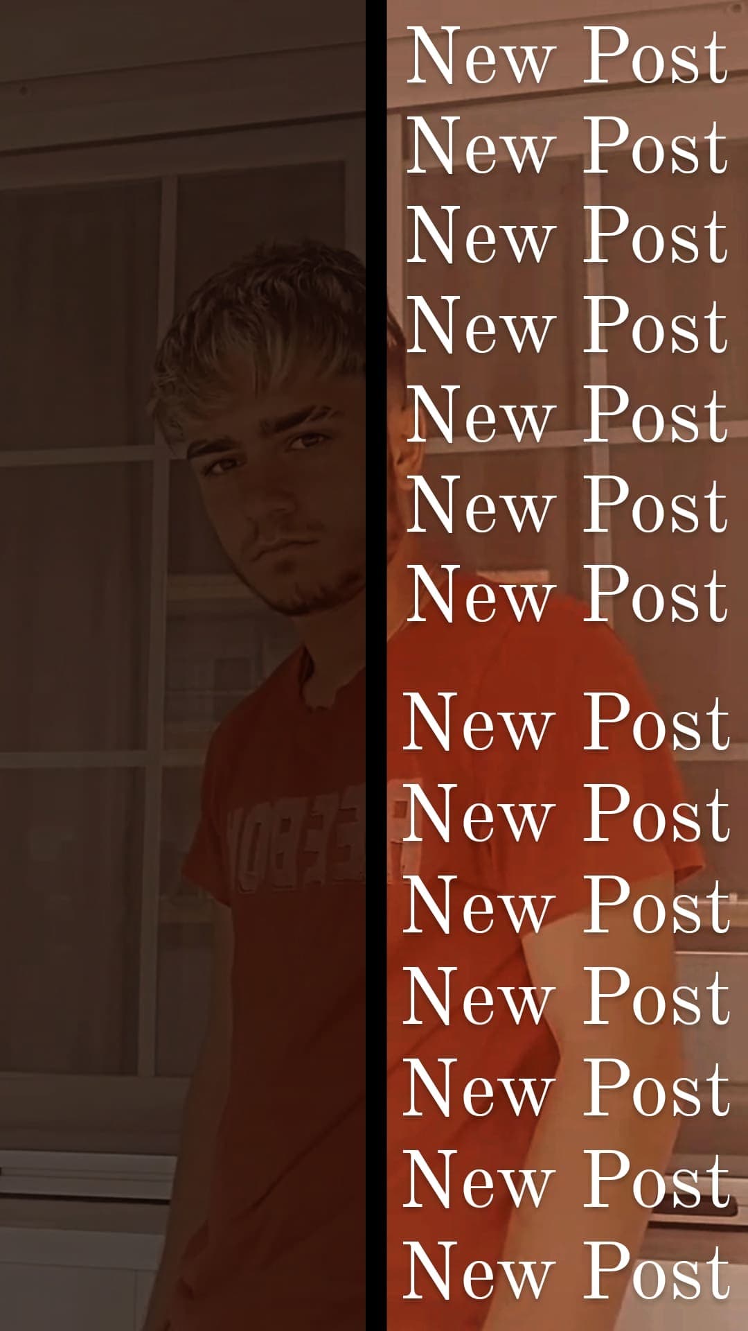 Pedrito banner image
