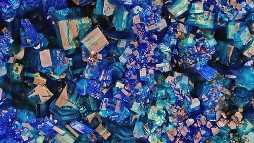 rollforseduction banner image