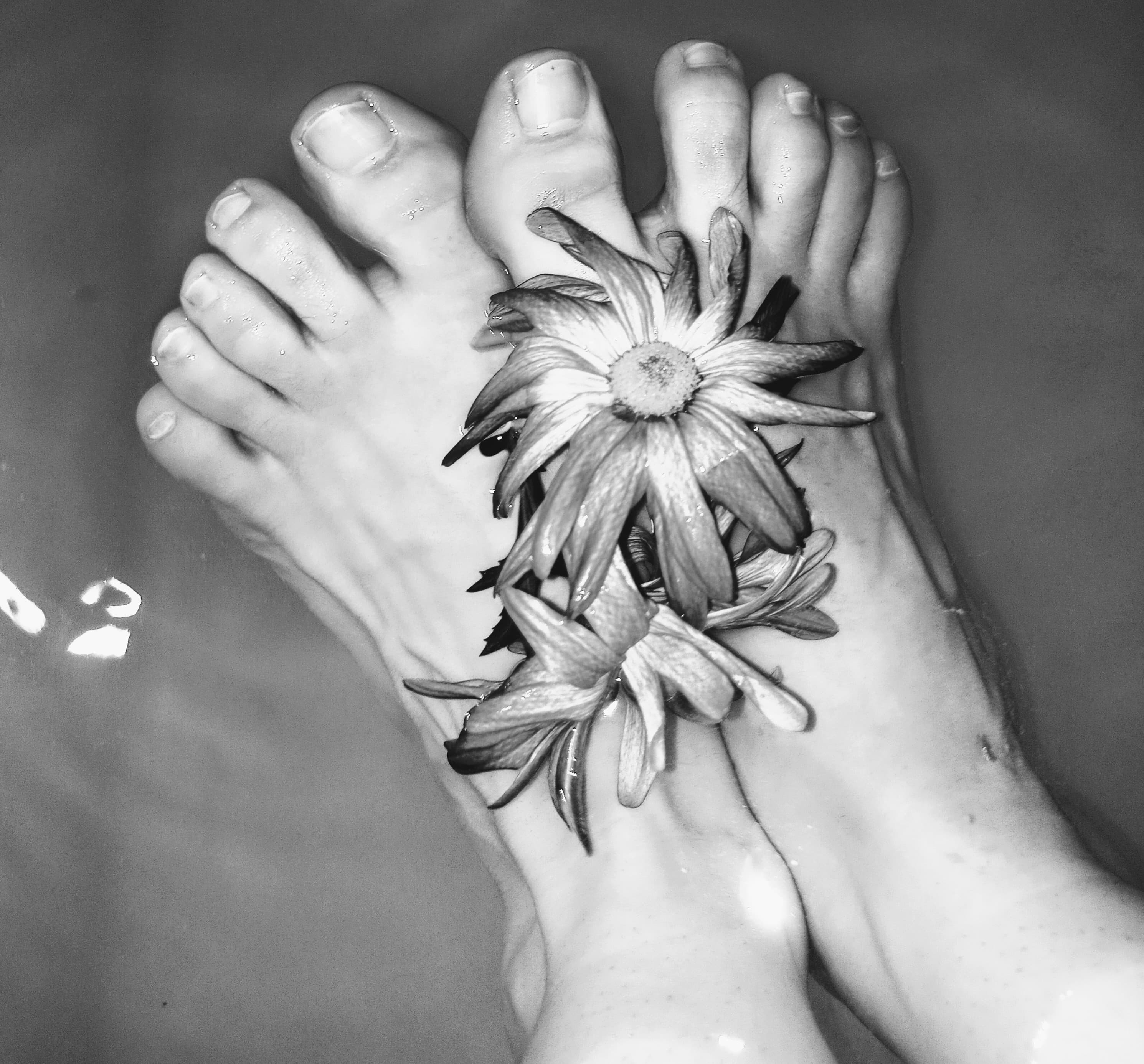 Happy Feet🖤 banner image