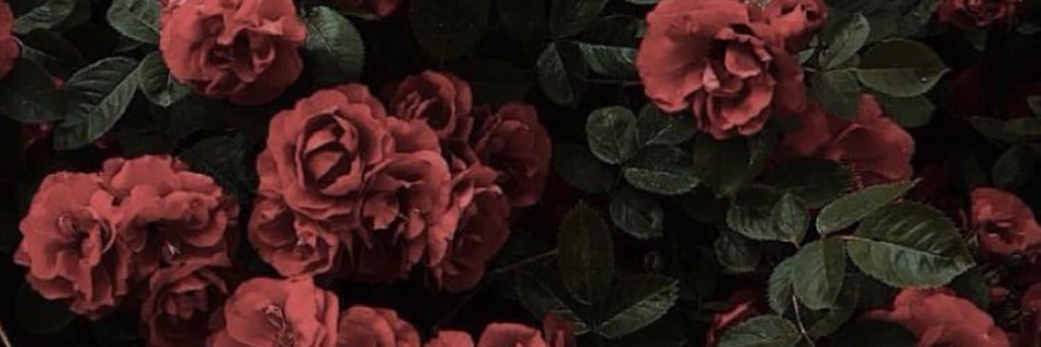 Kimani banner image