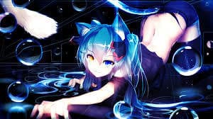 Cat banner image