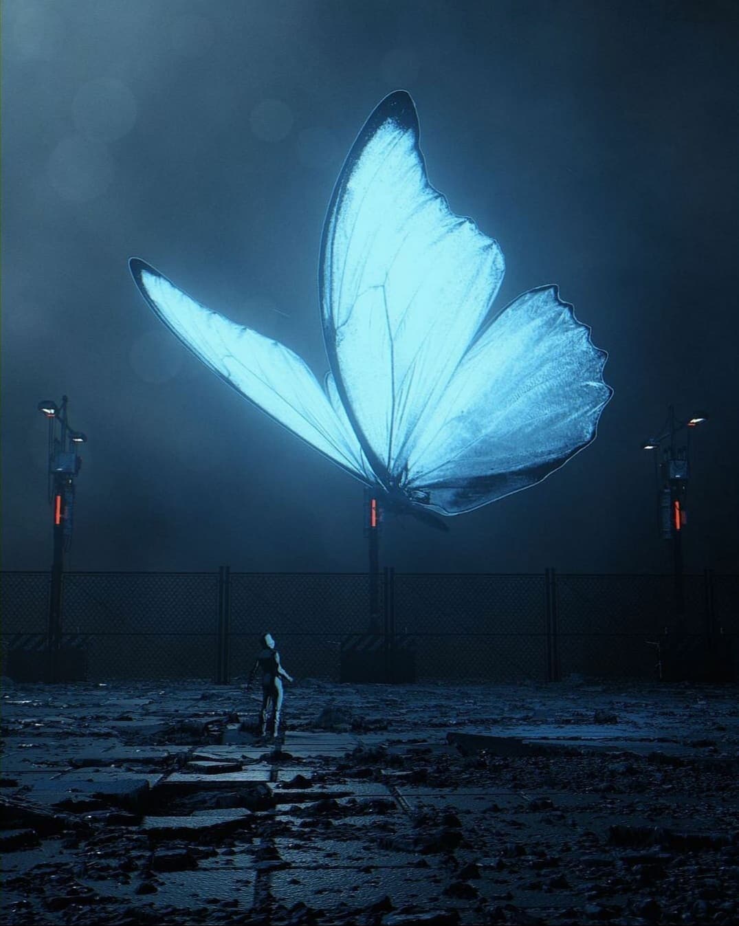 Peter banner image