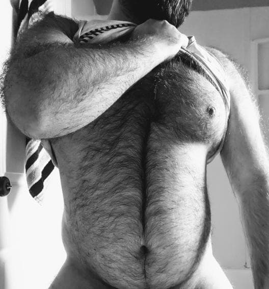 Gordothebear banner image