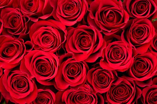 Passion banner image