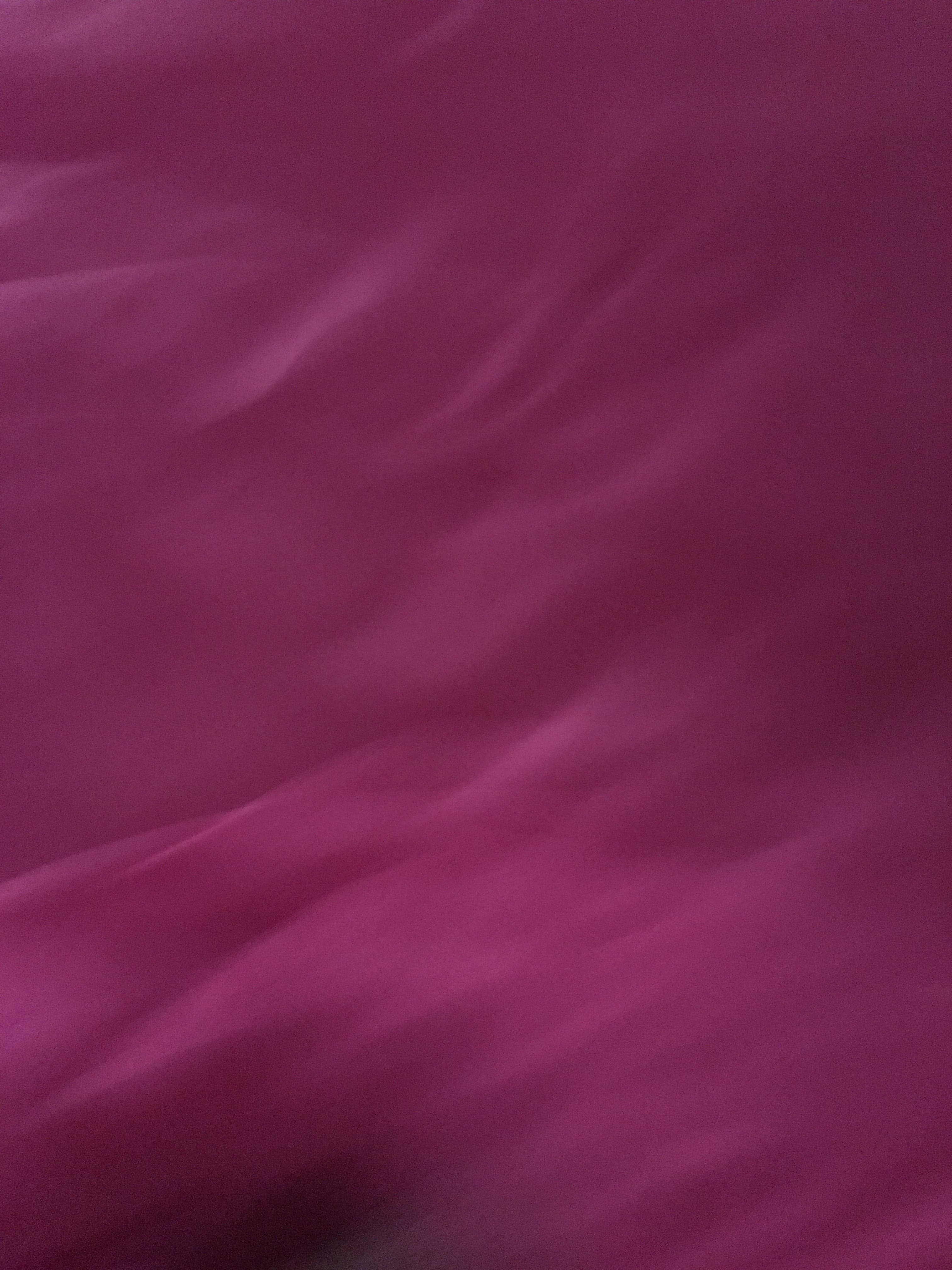 Yuri Ariella banner image