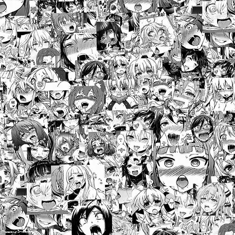Kat banner image